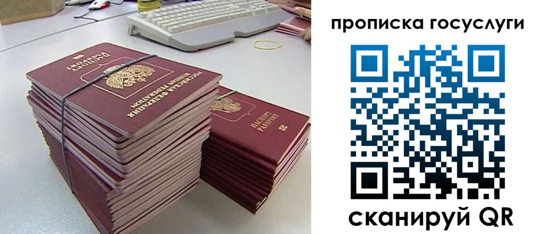 временная регистрация для школы в Алексине
